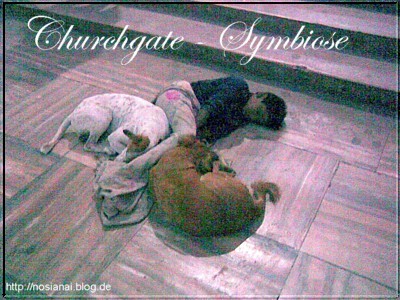 churchgate symbiose